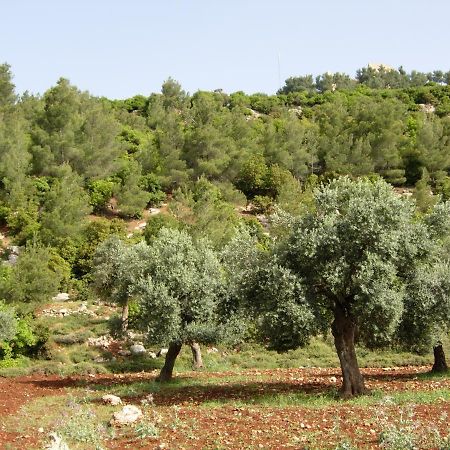 Ajloun Hotel Exterior foto